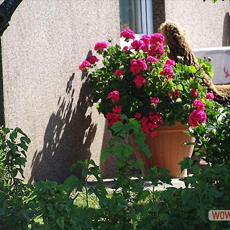 Ferienwohnung Greim Sankt Peter am Kammersberg Exteriör bild